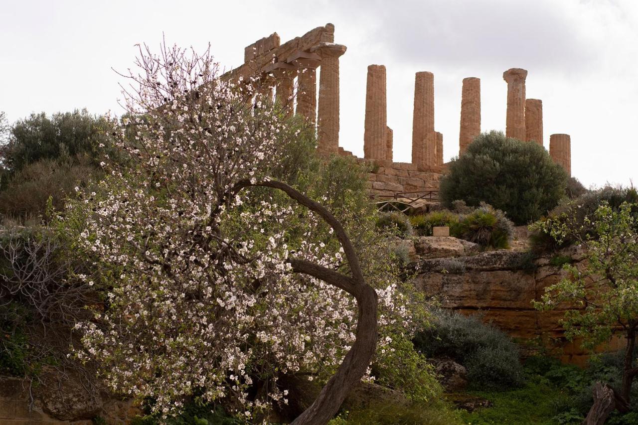 Il Portoncino ^ Apt.^ Agrigento Exterior photo